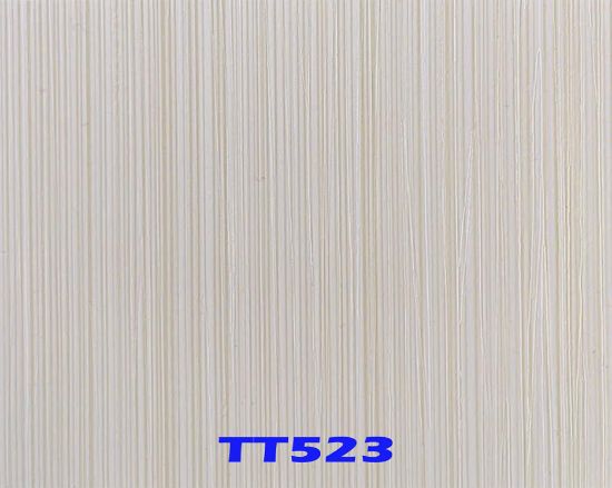 Picture of TT 523