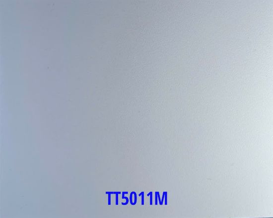 Picture of TT5011